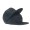 10Deep Snapback Hat NU003