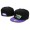 MLB Tampa Bay Rays Snapback Hat NU04