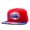 NBA Los Angeles Clippers MN Snapback Hat #10