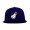 NBA Miami Heat Snapback Hat #76
