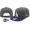 MLB Los Angeles Dodgers NE Strapback Hat #16
