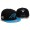NFL Carolina Panthers NE Snapback Hat #03