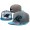 NFL Carolina Panthers NE Snapback Hat #21