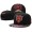 NFL Chicago Bears NE Snapback Hat #31