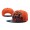 NFL Chicago Bears Snapback Hat NU01