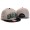 NFL Philadelphia Eagles NE Snapback Hat #11