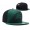 NFL Philadelphia Eagles NE Snapback Hat #15