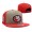 NFL San Francisco 49ers NE Snapback Hat #32