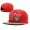 NFL San Francisco 49ers NE Snapback Hat #46