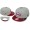 NFL Washington Redskins NE Snapback Hat #32