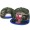NRL Sydney Roosters Snapback Hat #02