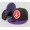 TRUKFIT Snapback Hat NU079