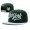 ZooYork Snapback Hat #01